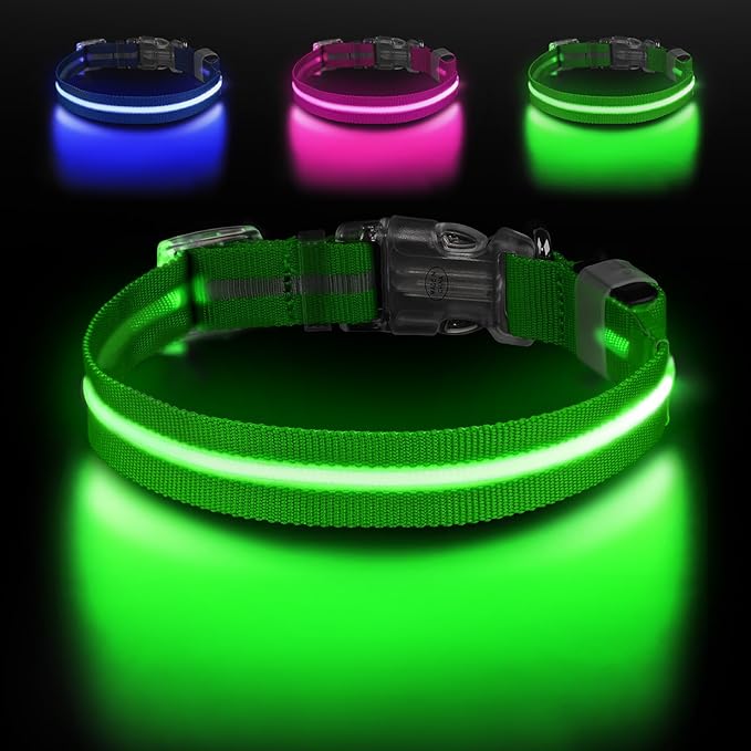 Light Up Dog Collar, Adjustable USB Rechargeable Glow in Dark Dog Collar ，Waterproof Dog Collars for Medium Dogs (Green, Medium)