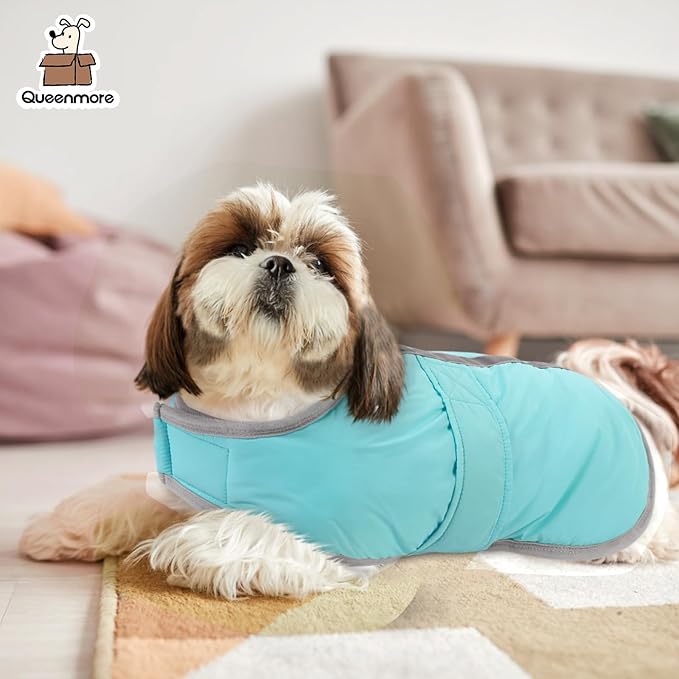 Queenmore Winter Coat, Fleece Puffer Down Vest, Cold Weather Pet Jacket, Waterproof Reflective Reversible Sweater Clothes for Small, Medium and Large Dogs (Light Blue, XS)