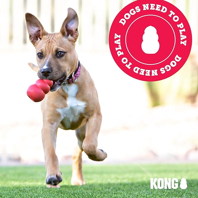 KONG Extreme Dog Toy - Fetch & Chew Toy - Treat-Filling Capabilities & Erratic Bounce for Extended Play Time Most Durable Natural Rubber Material - for Power Chewers - for Small Dogs (Pack of 2)