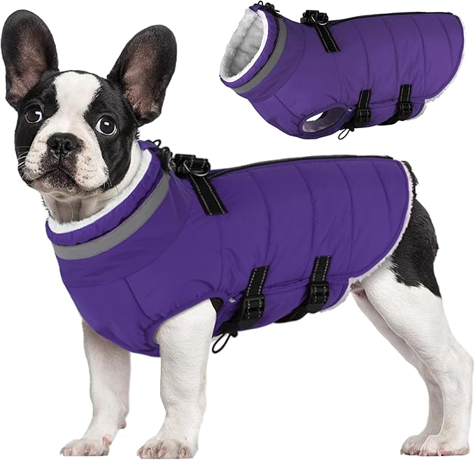 Small Dog Coat with Harness Built-in, Waterproof Reflective Fleece Lined - Warm Windproof Winter Jacket with Back Zipper, Cold Weather Snow Dog Coats - Purple - S