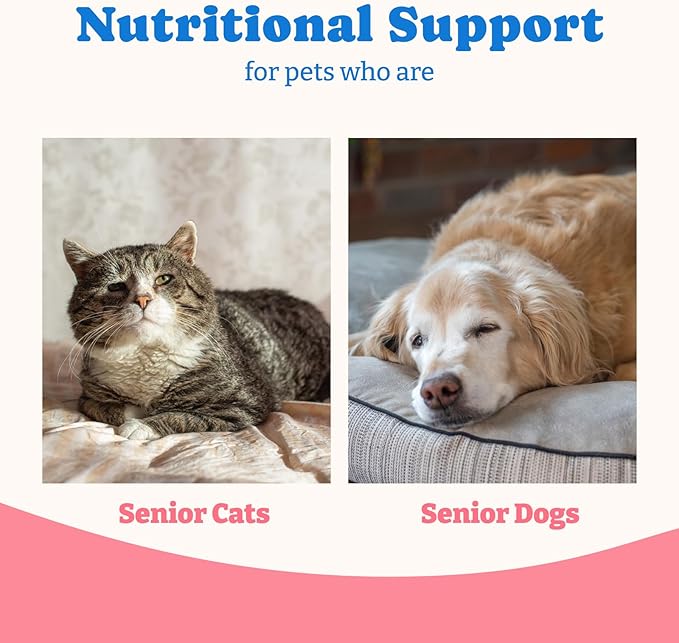 Bovine Colostrum Nutritional Gel for Dog & Cat - High Calorie Supplement for Dogs and Cats, Support Appetite for Cat, Immune Support, Dog Weight Gainer, Senior Dogs Cats Supplement