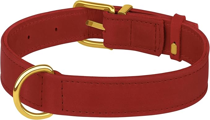 Leather Dog Collar - Heavy Duty Adjustable Soft Padded Pet Collars for Small Medium Large Dogs Breed - Black Green Brown Pink Red Blue (Red, L, 15"-19" Neck Fit)
