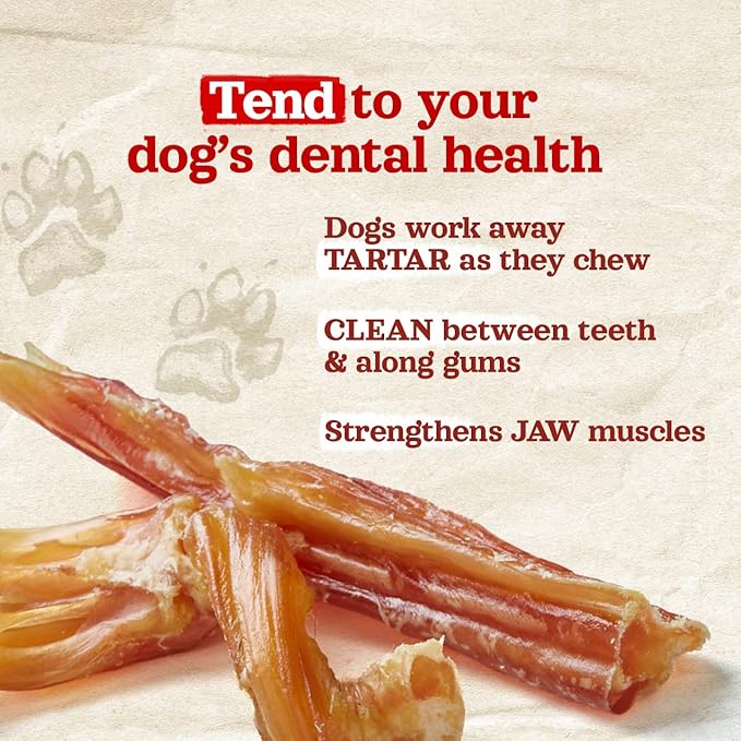 Natural Farm Extra-Thick Beef Tendons (4-6 Inch, 6 Pack), Natural Chondroitin and Collagen: Supports Healthy Joints, Great for Dental Health – Made & Packaged, All Dog Sizes