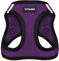 Best Pet Supplies Voyager Step-in Air Harness - All Weather Mesh, Reflective, No Pull Harness for Dogs, Cats - Secure with Hook & Loop Fastener, Buckle, Double D-Rings - Purple/Black Trim, XXXS