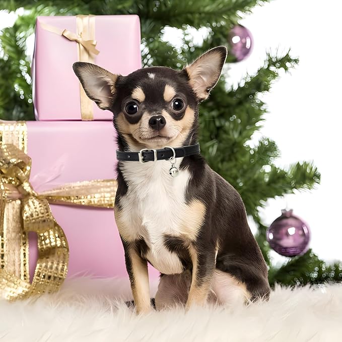 Green Puppy Collar with Bell, Soft Pu Leather Cat Collars Adjustable Buckle for XXS XS Extra Small Medium Tiny Female Male Boys Girls Pets Dogs Kitten Teacup Yorkie S