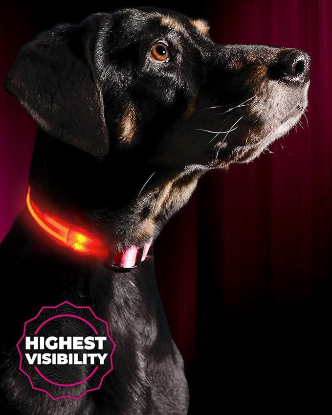 ILLUMISEEN LED Dog Collar USB Rechargeable - Bright & High Visibility Lighted Glow Collar for Pet Night Walking - Weatherproof, in 6 Colors & 6 Sizes (Pink X-Small)