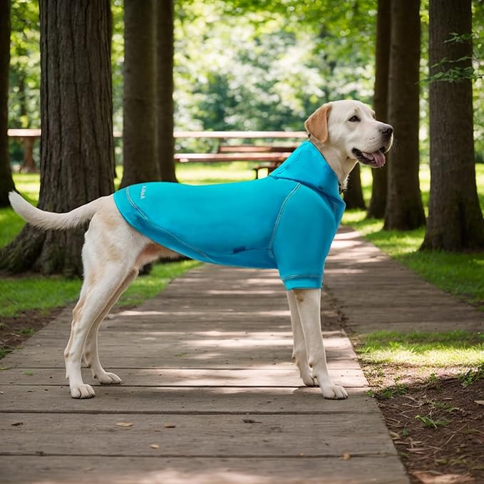Basic Dog Hoodie Sweatshirts, Pet Clothes Hoodies Sweater with Hat and Leash Hole, Soft Cotton Outfit Coat for Small Medium Large Dogs, Royal Blue (XX-Large)