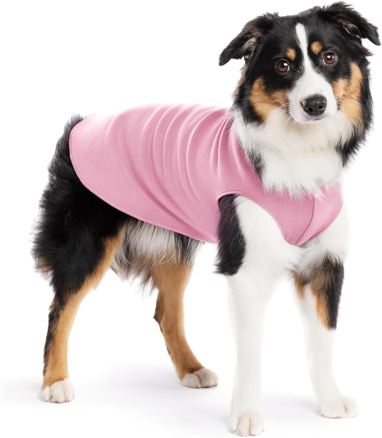 Goldpaw Stretchy Fleece Jacket for Small Dogs - Super Soft, Warm Dog Sweater - Pet Sweater Vest for Fall and Winter - Canine Clothes Made in The USA - Machine Washable - Rose - Size 14