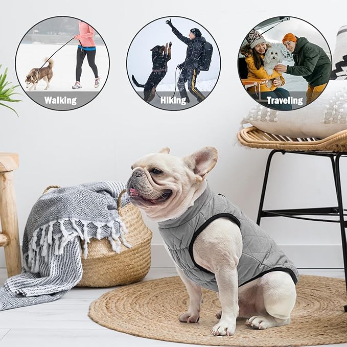 SCENEREAL Winter Dog Vest Coat with Harness Built in, Warm Puppy Jacket for Small Medium Sized Dogs, Dog Cold Weather Coats with Zipper, Fleece Puffer Vest Windproof Snow Clothes for Puppies Pet