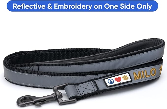 Pawtitas Personalized Dog Leash - Embroidered Custom Name & Phone Number, Reflective, 6 ft Long, Small, Black Custom Tag