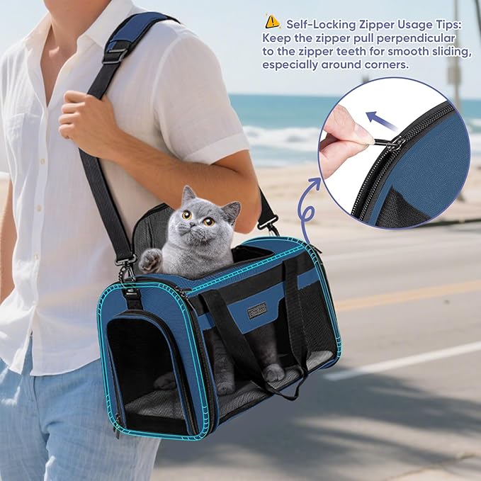 BALEINE Cat Carrier, Puppy Dog Carrier for Small Medium Pets Up to 22 Lbs, Soft-Sided Dog Travel Bag with Safety Zippers, Collapsible Pet Carrying Case (Blue, XL, 19"x12"x12")