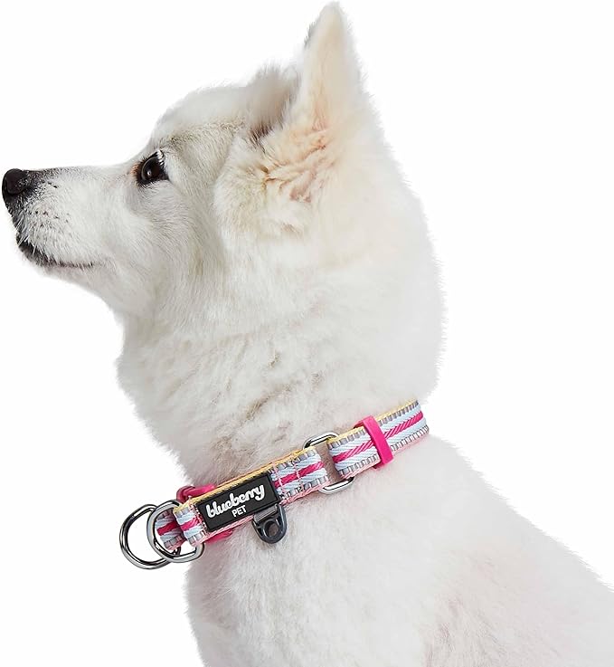 Blueberry Pet Safety Dog Collar with Dual D-Rings | 3M Reflective Multi-Colored Adjustable Collar in Pink and Pastel Blue | Soft Nylon Dog Collar for Active Small Dogs