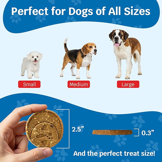 Shmush! Morning & Night Healthy Dog Biscuits – 100% All Natural Dog Treats Superfood with Blueberries, Colostrum & Moringa - Vet Formulated, Non-GMO, USA Made, Grain Free Cookies for Dogs - 56 Count