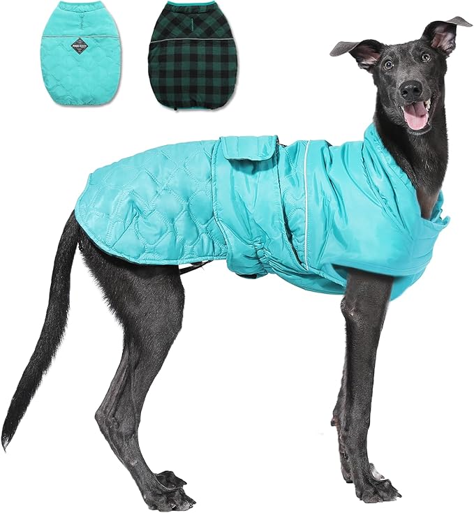 PAWZ Road Dog Winter Coat with 5 Layers Warm Material, Reversible Dog Clothes with 2 Sides, Dog Jacket Outdoor Water Repellent, (Green Plaid 2XL)