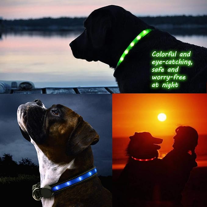Light Up Dog Collars, Safety LED Dog Collar Rechargeable 7 Colors in One Lighted Dog Collar Glow in The Dark Dog Walking Light, Neon Durable Nylon Adjustable Buckle for Small/Medium/Large Dogs, L Size