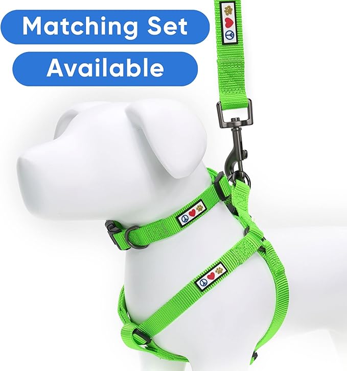 Pawtitas Personalized Dog Leash Embroidered Customize with Your Pet Name & Phone Number Puppy 6 ft Long Extra Small Green Custom Engraved Name, Green ✅ Solid, Customized 2XS (Pack of 1)