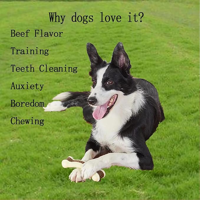 Dog Chew Toys for Aggressive Chewers, 6 Pack L Real Beef Flavor Bones,Indestructible Dog Toys for Large/Medium Breed,Pet NylonToys
