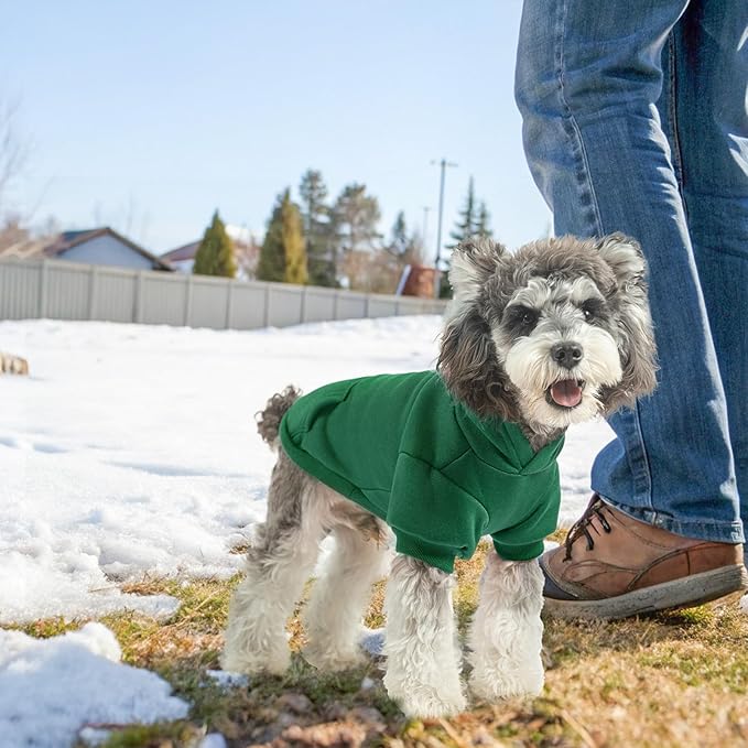 SCENEREAL Dog Hoodie Sweaters for Small Medium Large Size Dogs, Fleece Dog Sweatshirt with Hat and Pocket,Soft Cold Winter All Weather Dog Clothes for S to XL Sized Dogs, Green XL