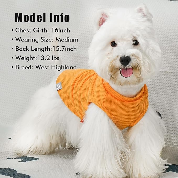 KYEESE 2Pack Waffle Dog Shirts for Small Dogs Stretchy T-Shirts Lightweight Tank Top Sleeveless Striped Shirt Vest Breathable Cat Shirt, XX-Large, Orange+Striped