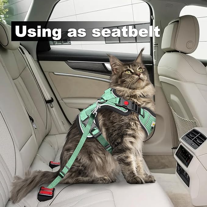 Cat Harness and Leash for Walking, Retractable Cat Harnesses and Leash Set Escape Proof, Breathable Soft Kitten Small Large Harness for Travel Training and Walking, Green, XXS