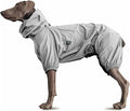 Dog Lightweight Windbreaker, Pet Outdoor Sports Jacket, 0.5 lbs,3 in One, Hooded, Easy on/Off with Collar and Harness, Reflective Piping, Packable, Dog Hiking/Camping, Grey (Medium)