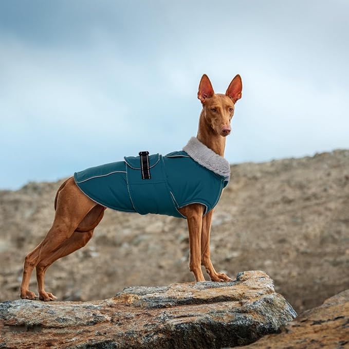 Lelepet Warm Dog Coats for Extra Large Dogs Waterproof Dog Winter Jacket Reflective Pet Fleece Vest Windproof Cold Weather Coats with Adjustable Buckle & Leash Hole, Dark Green, XXXL