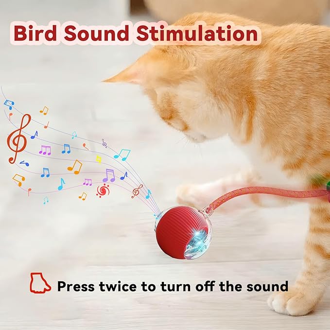Interactive Cat Toys for Indoor Cats, Automatic Cat Toy with Elastic Mesh Tail, Electric Rolling Ball on Carpet, Chirping and Motion Activate Cat