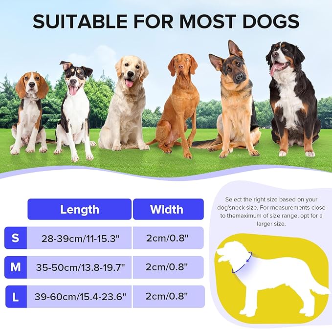 Light Up Dog Collar, Adjustable USB Rechargeable Glow in Dark Dog Collar ，Waterproof Dog Collars for Large Dogs (Blue, Large)