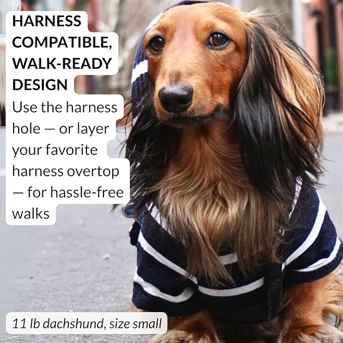 DJANGO Dog Hoodie – Warm, Lightweight, Soft & Stretchy Dog Sweater with Hood, Harness Hole & Elastic Waistband – Cozy Sweatshirt for Small Dogs up to 25 lbs, Dachshunds & Puppies – Navy Blue, Medium