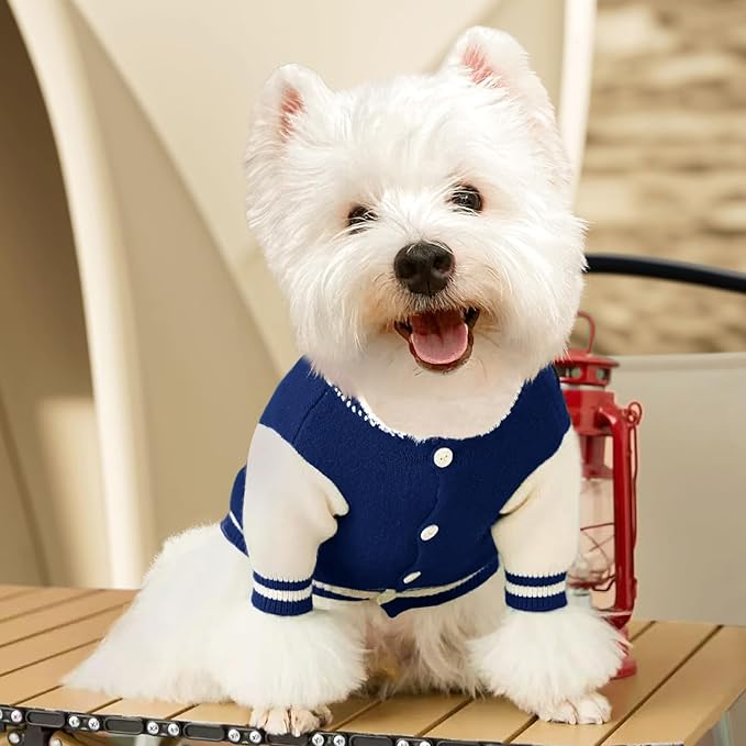 Small Dog Sweater Sweatshirt Cute Blue Puppy Sweaters - Winter Warm Knitted Bear Design for Small Puppies (M)