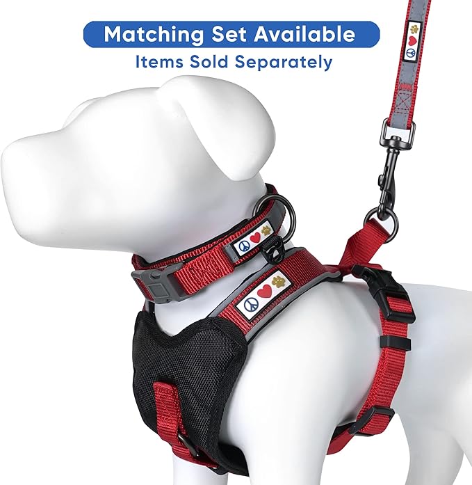Pawtitas Personalized Dog Leash Embroidered Customize Your Pet Name & Phone Number Puppy Reflective 6 ft Long Large Red Custom Tag Name, Red Reflective 🔦 Padded