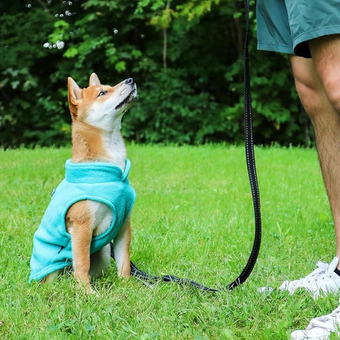 JACKO & CO - Fleece Vest Dog Sweater with Leash Ring - Soft, Warm & Lightweight Pullover Coat for Small & Medium Dogs, Puppies & Cats - Cozy Fall/Winter/Spring Pet Jacket (Turquoise, X-Small 2-4lbs)