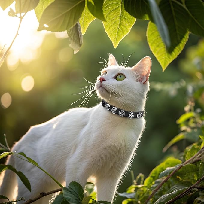 EXPAWLORER Leather Cat Collar for Girl Boy- Adjustable Pet Collar with Safety Elastic Belt,Personalized Punk Accessories Buckle Collars with Bell & Durable D-Ring, Skull(Black)