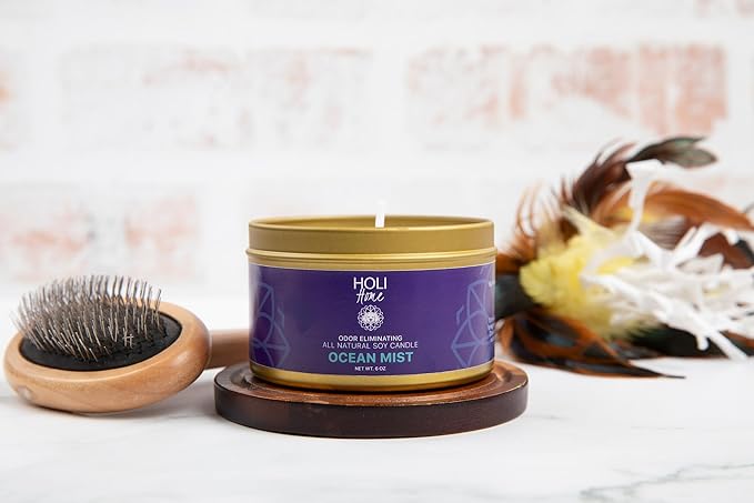 HOLI Pet Odor Eliminator Candle – Ocean Mist Scent – All Natural Soy Wax, Paraben & Phthalate Free, Pet Safe, Long-Lasting 30-Hour Burn, Non-Toxic & Plastic-Free Air Freshener for Home
