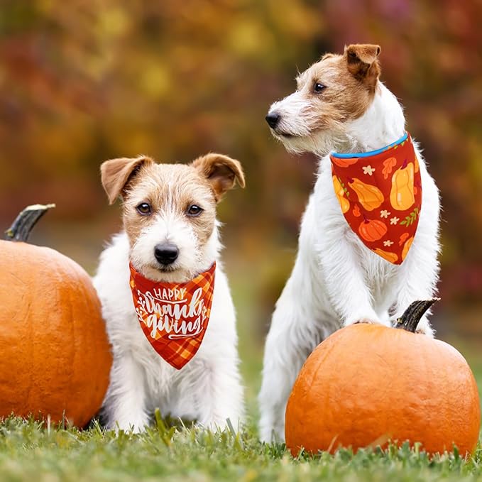 SCENEREAL Thanksgiving Dog Bandanas 2 Pack, Puppy Fall Orange Turkey Triangle Bibs Handkerchief, Reversible Holiday Dog Bandana for Boy and Girl, Premium Pet Scarf for Small Medium Large Dogs XL