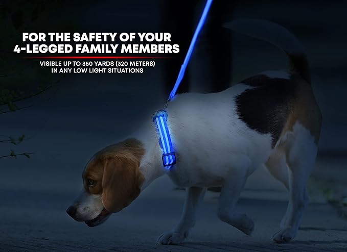 ILLUMISEEN LED Dog Collar USB Rechargeable - Bright & High Visibility Lighted Glow Collar for Pet Night Walking - Weatherproof, in 6 Colors & 6 Sizes (Blue Large)