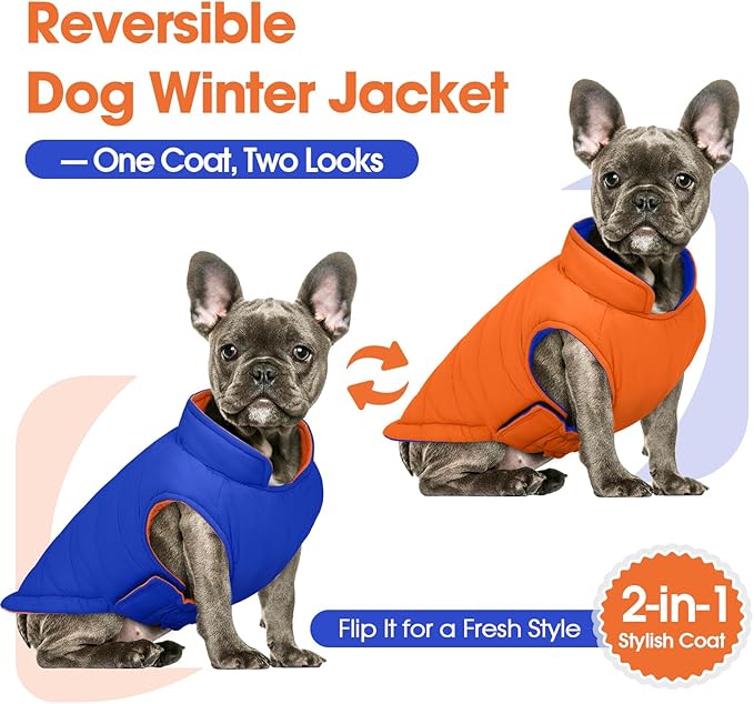 QBLEEV Reversible Dog Coat for Small Dogs, Waterproof Windproof Winter Jacket Keeps Small Breeds Warm & Dry, Lightweight Adjustable Puffer Vest with Leash Hole, Orange, XS – Fits Chihuahua, Yorkie