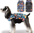 CuteBone Winter Dog Coat - Waterproof Windproof Reversible Vest, Thick Adjustable Cold Weather Jacket for Small Medium Large Dogs, Soft With Leash Hole