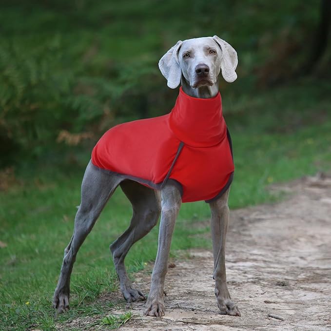 ROZKITCH Dog Winter Coat Soft Pullover Pajamas, Pet Windproof Warm Cold Weather Jacket Vest Cozy Jumpsuit Apparel Outfit Clothes for Xmas Walking Sleep BrightRed L