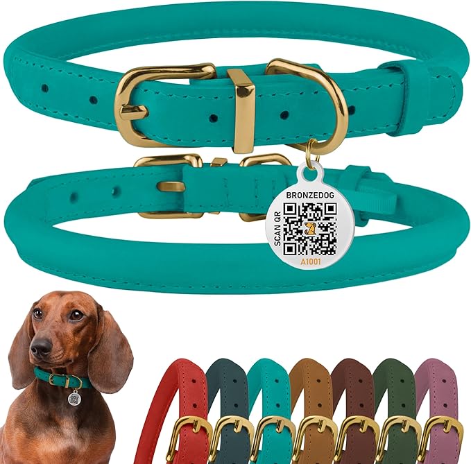 BronzeDog Rolled Leather Dog Collar with QR ID Tag, Adjustable Soft Round Collars for Small Medium Large Dogs Puppy (7" - 10" Neck Size, Turquoise)