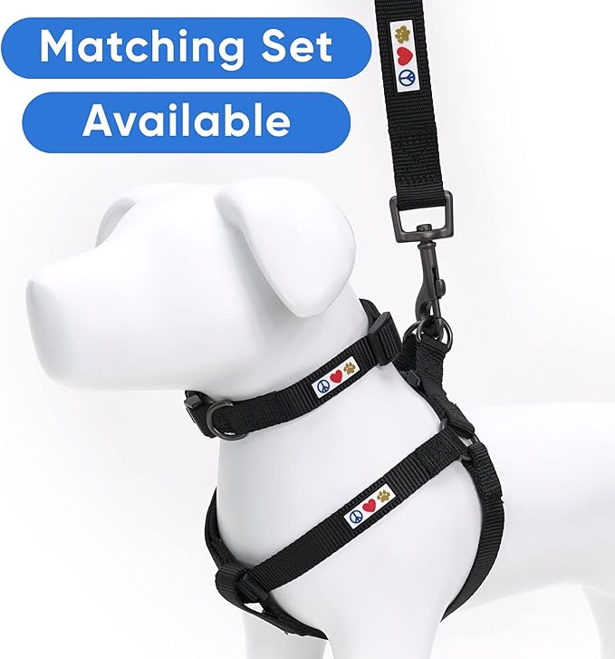 Solid Dog Leash - 6 Ft