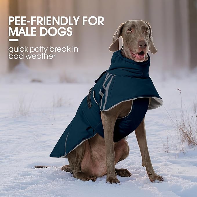 FUAMEY Dog Cold Weather Coats,Dog Winter Jackets for Small Dogs Warm Dogs Coat with Reflective Strips Waterproof Pet Snowsuit Thick Paded Pets Vest for Yorkshire Chihuahua Blue S