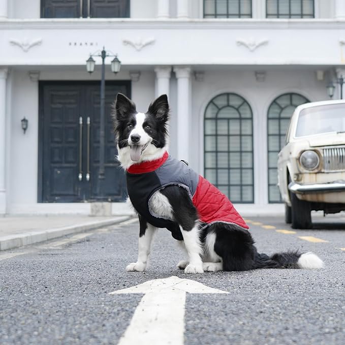 Warm Fleece Dog Coats for Small Dogs,D-Rings Waterproof Puppy Jacket for Cold Winter,Red M