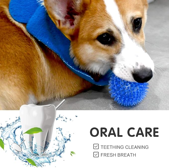 SHARLOVY Squeaky Balls for Pet Small Puppy, TPR Fetch Spike Balls for Dogs, Rubber 6 Pack Bright Colors Chew Teething Dog Toys