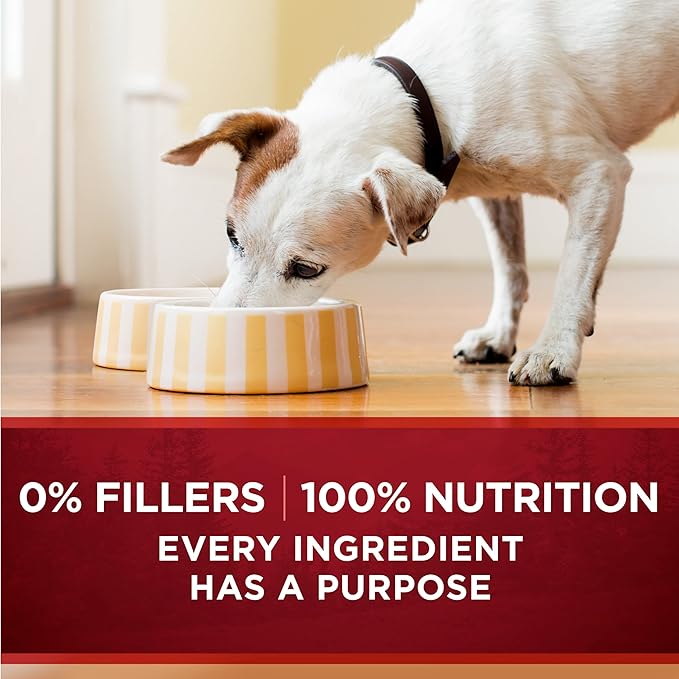 Purina ONE High Protein Wet Dog Food True Instinct Tender Cuts in Dog Food Gravy With Real Chicken and Duck - (Pack of 12) 13 oz. Cans
