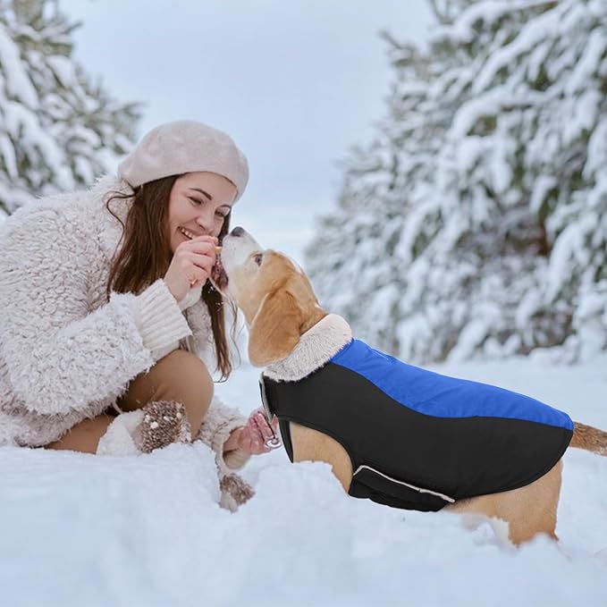 Warm Dog Coat,Waterproof Jacket in Winter Adjustable and Reversible Doggy Fleece Outfit,Thick Clothes with Foldable Collar for Puppy in Cold Days,2XL RoyalBlue