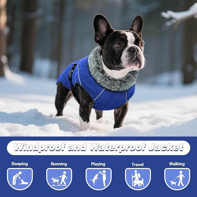 DENTRUN Small Dog Winter Warm Coat - Windproof Cozy Jacket, Thick Fleece Vest with Adjustable Belt, Water Repellent, Reflective Dog Sweater for Yorkie Dachshund Wear, Blue, S