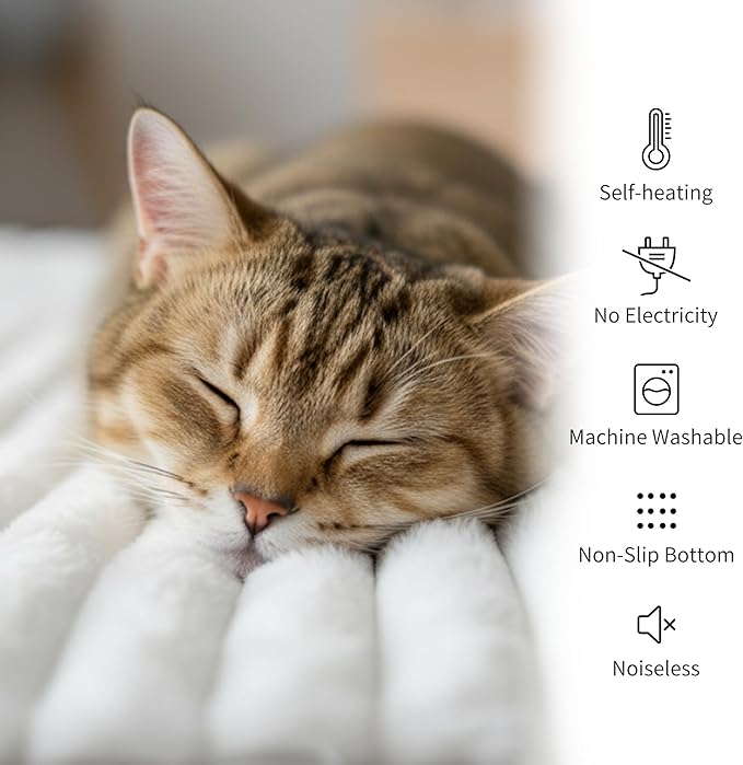 NWK Pack of 4 Fluffy Self Warming Cat Mat, Cat Blanket, Thermal Dog Mat, Washable, Non-Slip Bottom for Sofa & Crate & Kennel & Car Seat (Creamy White, Large (34'' X 22'' X 0.7''))