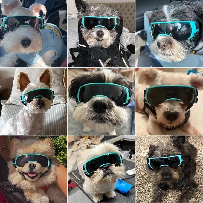 Dog Goggles Sunglasses Small to Medium Breed, Anti-Fog UV400 Lens Puppy Sunglasses, Adjustable Lightweight Doggie Goggles for UV, Wind, Snow, Dust Protection, Blue