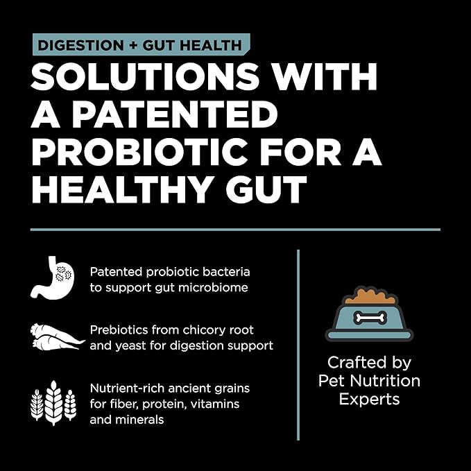 Go! Solutions Digestion + Gut Health, Dry Dog Food, Chicken Recipe with Ancient Grains, 12 lb Bag